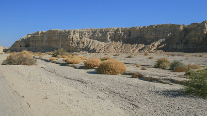 Landscape of the desert, cliffs and scrub plants