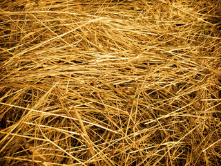 straw background