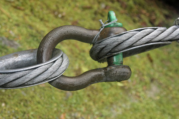 shackle and wire