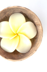 candle flower - Frangipani (plumeria) in coconut shell