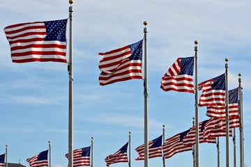 Circle of American flags
