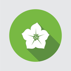 Petunia flower icons. Floral symbol. Round circle flat icon with long shadow. Vector