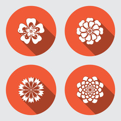 Flower icons set. Chamomile, daisy, chrysanthemum, cornflower. Floral symbol. Round orange flat icon with long shadow. Vector