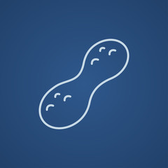Peanut line icon.