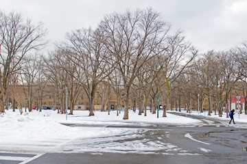 Winter scenery of Hokkaido University 