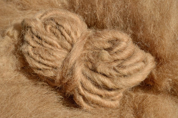 Sheep's wool