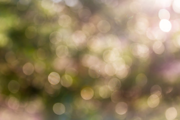 Obraz premium Glow light blow natural bokeh and sunlight in wonderful romantic