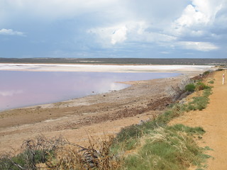 Fototapeta na wymiar pink lake near kalbarri, western australia