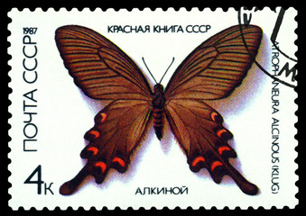 Fototapeta na wymiar Stamp. Butterfly Atrophaneura alcinous.