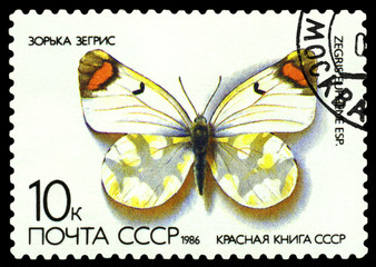 Fototapeta na wymiar Stamp. Butterfly Papilio Alexanor.