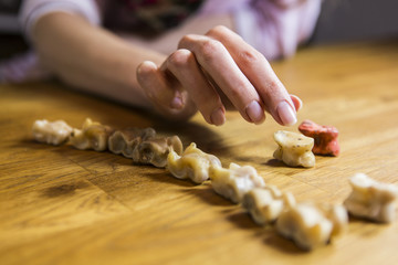 Mongolisches Knochenspiel