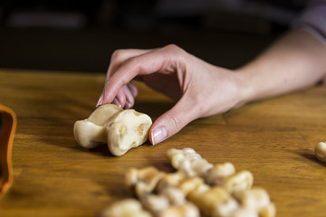 Mongolisches Knochenspiel