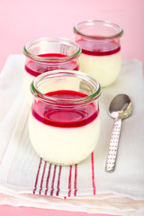 Himbeer- Joghurt Dessert
