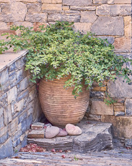 Fototapeta na wymiar vintage flowerpot on stonewall corner