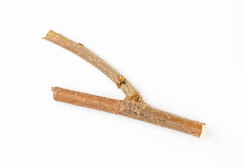 Dry tree branch isolated on white background.