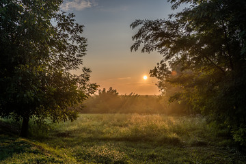 Fototapeta na wymiar Sunrise over green meadow in Hungary, Europe