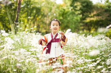 Korean child wearing a Traditional Hanbok, flower garden