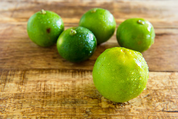 Seasoning, Fresh herbs  food background with copy space