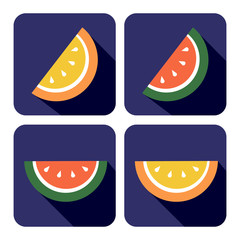 Vector fruits icon. Set of colorful icons of melon and watermelon, isolated on the white background