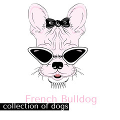 Collection of purebred dogs in vector. Hand drawing . French bulldog in sunglasses .