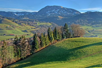 Chriesbaumen im Entlebuch LU