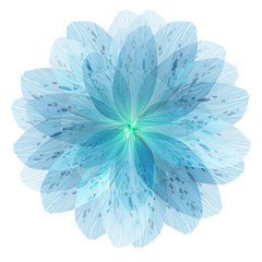 Floral round pattern of blue flower petals