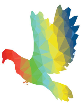 Colorful Polygonal Pigeon
