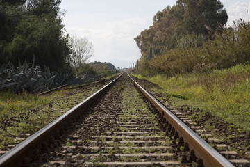 Railway in the Countryside