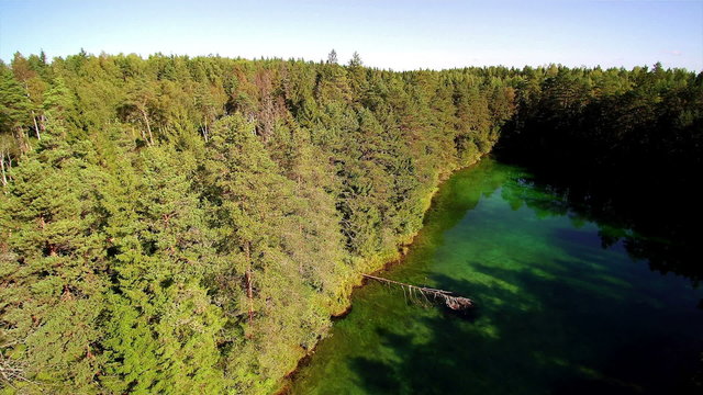 Big trees surrounding the Antu lakes aerial shot. &Auml;ntu is a village in V&auml;ike-Maarja Parish L&auml;&auml;ne-Viru County in northeastern Estonia