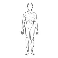 Fashion man outlined linear template full length figure silhouet