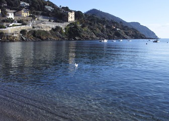 sestri levante