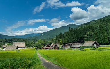 Fototapeta na wymiar Historical Japanese Village - Shirakawago