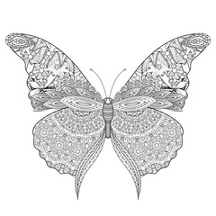 beautiful butterfly coloring page