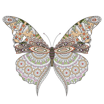 beautiful butterfly coloring page