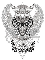 Fototapeta premium mysterious owl coloring page