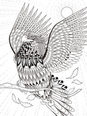 Fototapeta premium flying eagle coloring page