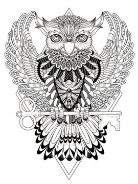 mysterious owl coloring page
