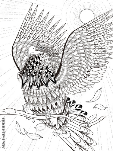 "flying eagle coloring page" Stock image and royalty-free vector files
