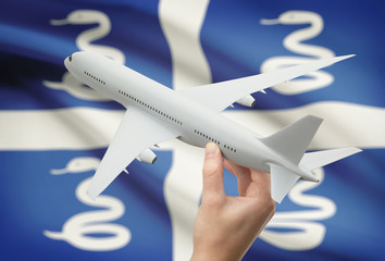 Airplane in hand with flag on background - Martinique