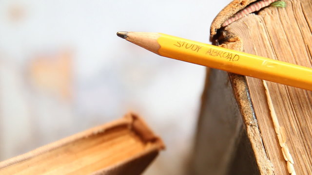 text: Study Abroad