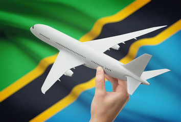 Airplane in hand with flag on background - Tanzania
