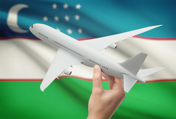Airplane in hand with flag on background - Uzbekistan