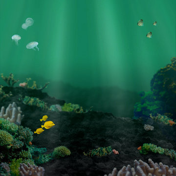 Unterwasserwelt