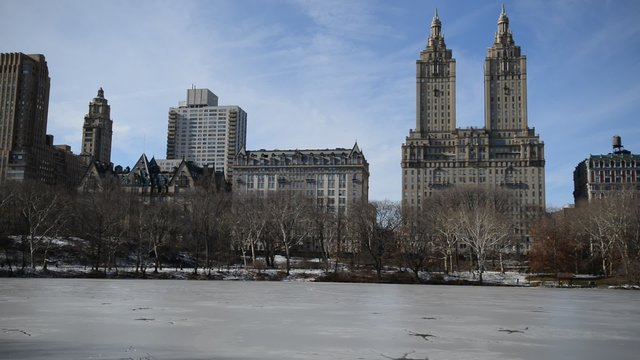 Panning HD Video of Trees in winter, Central Park with snow and Manhattan skyline, New York City