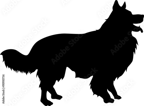 Download "Border Collie Silhouette" Stock image and royalty-free ...