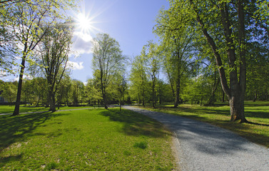Parkanlage und leuchtende Sonne