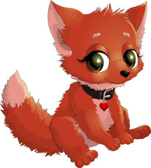 beautiful fox on a white background