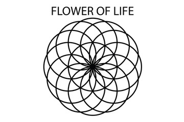 Flower of life vector