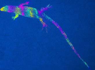 colored lizard
