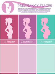 Pregnant woman - first, second and third trimester